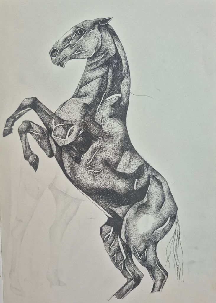 Image of a sketch of horse rearing done with black ink pen.